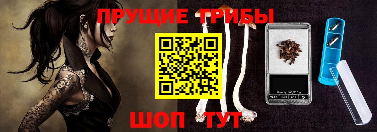 Зима  закладка  Галлюциногенные грибы ЛСД  Вход с VPN  Галлюциногенные грибы Psilocybe 