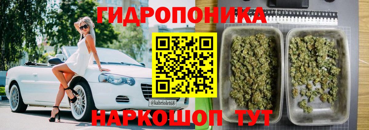 Шишки марихуана план  Бошки марихуана тримм  Зима  Вход с VPN  Каннабис гибрид  Канабис OG Kush 